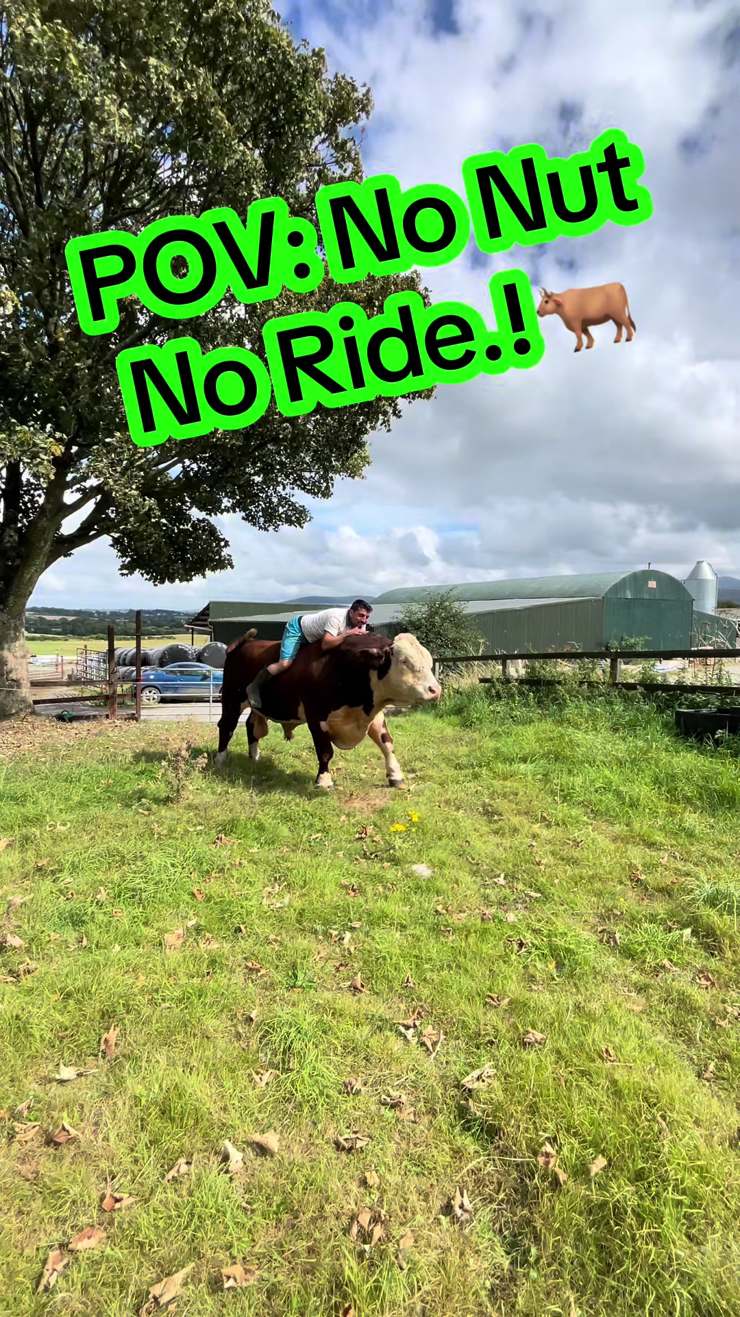 @Cow King 🐮🤴