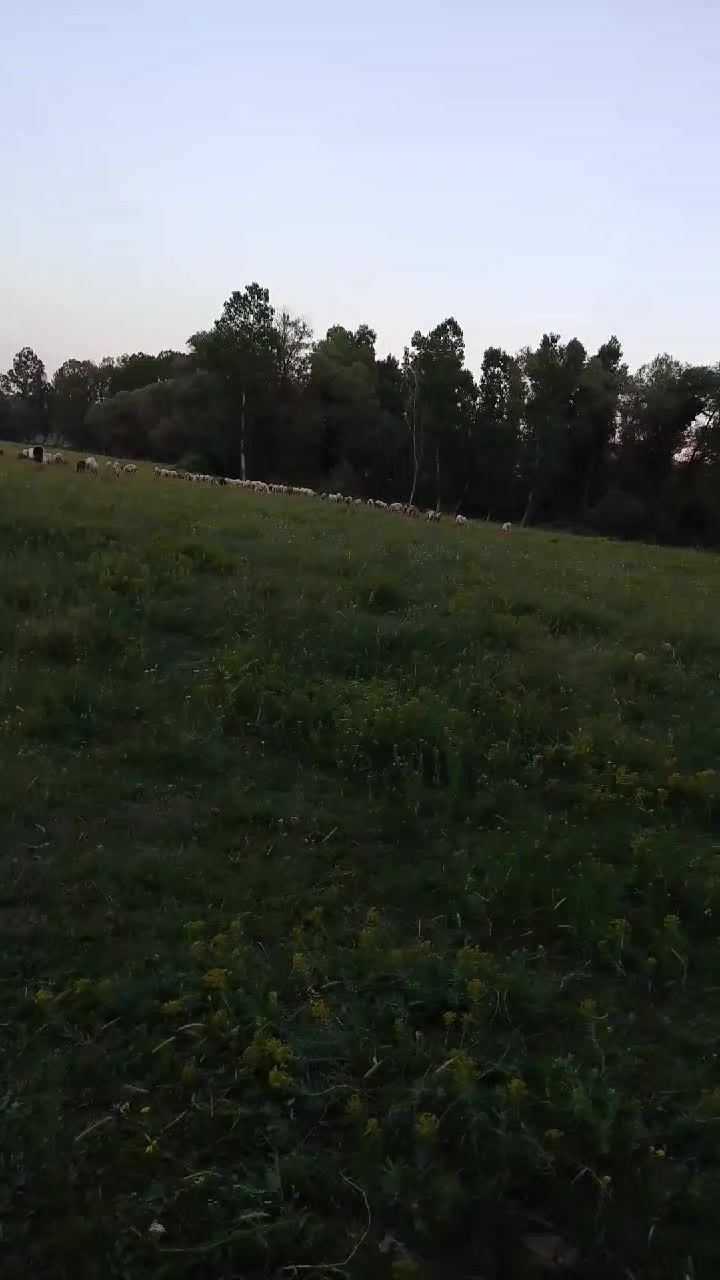 @kadir akduman03