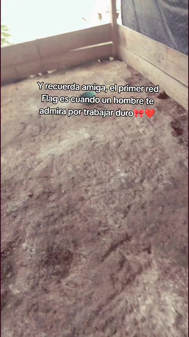 @ElyAlonzo