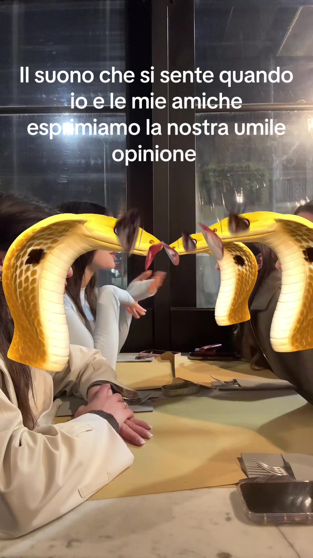 @SaraFerrone