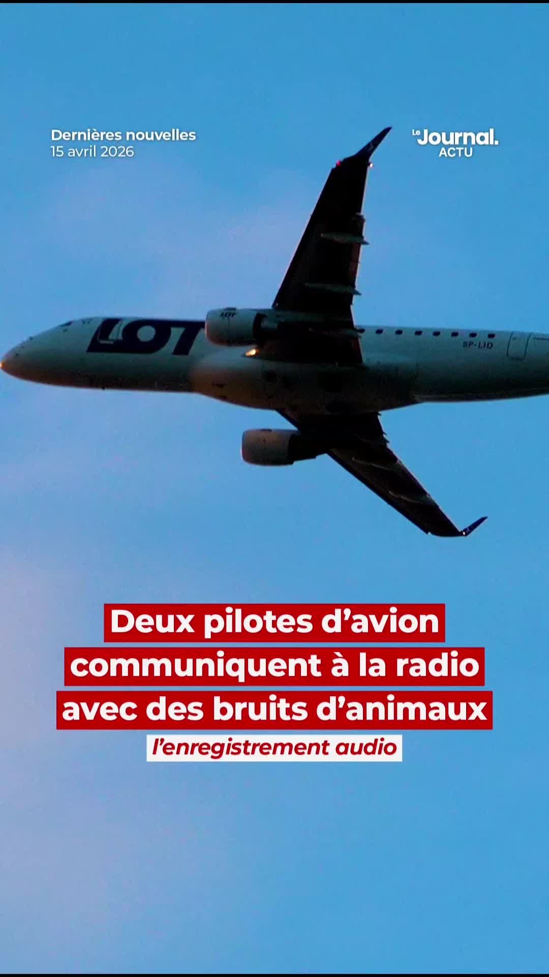 @Le Journal
