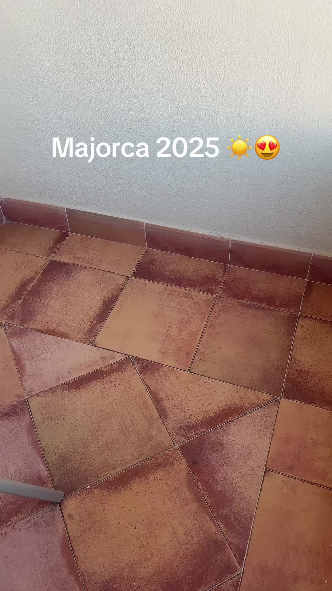 @Cayla 🥝