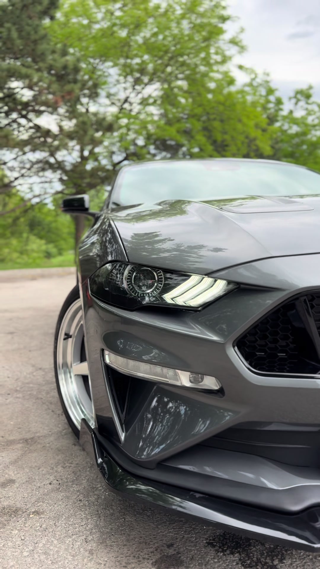 @Mafia_Detailing_Official