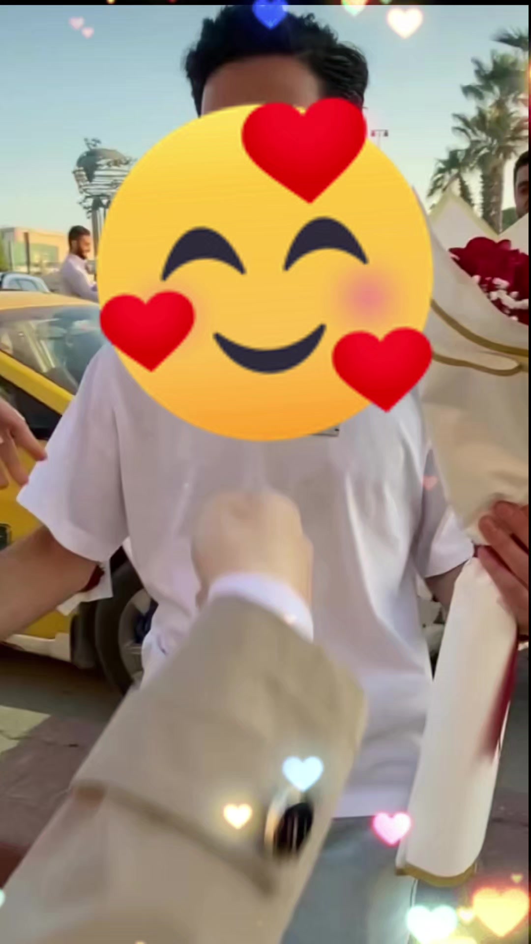 @𝒴 ᥫ᭡