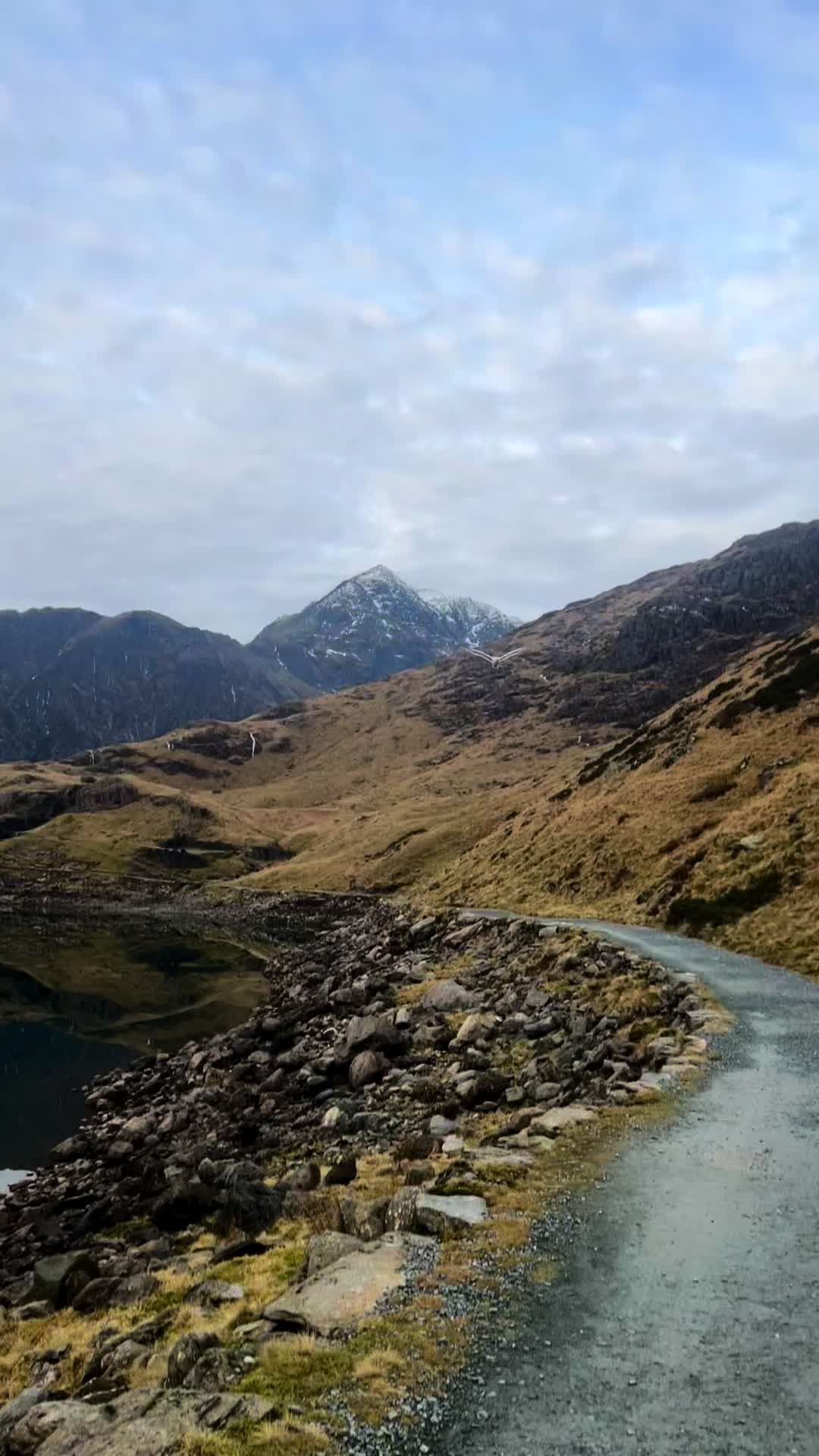 @Georgia 🪩⛰️🥾🍃💫