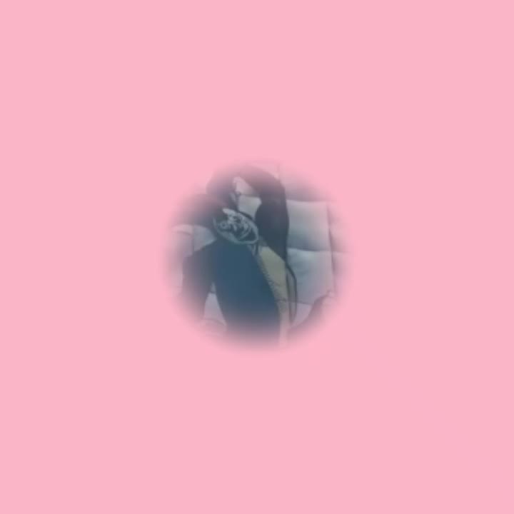 @â• ððŽð±_ðððžðŒ •â
