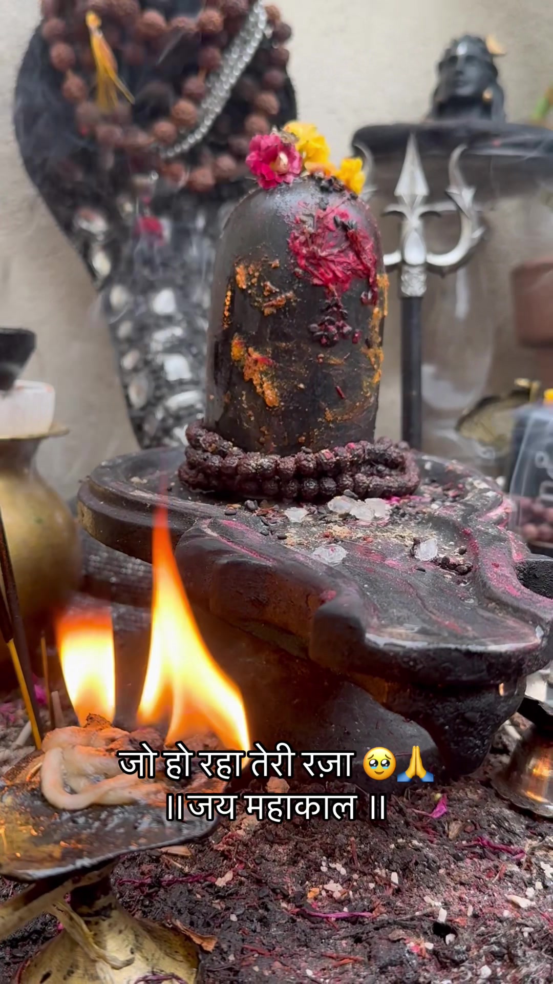 @ਵਲੈਤੀ ਪੰਜਾਬਣ sukh/ਸੁਖ