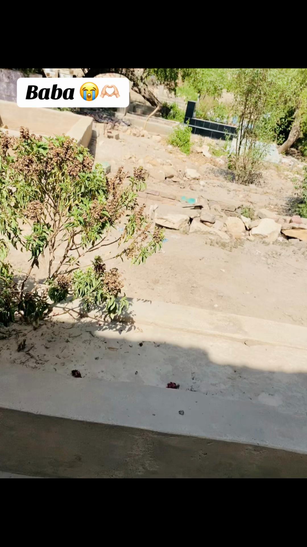 @میر بلال رند