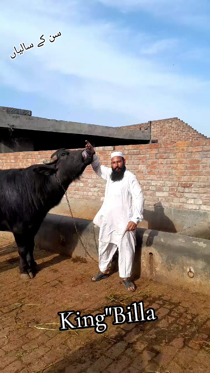 @Honey singh('gujjar')