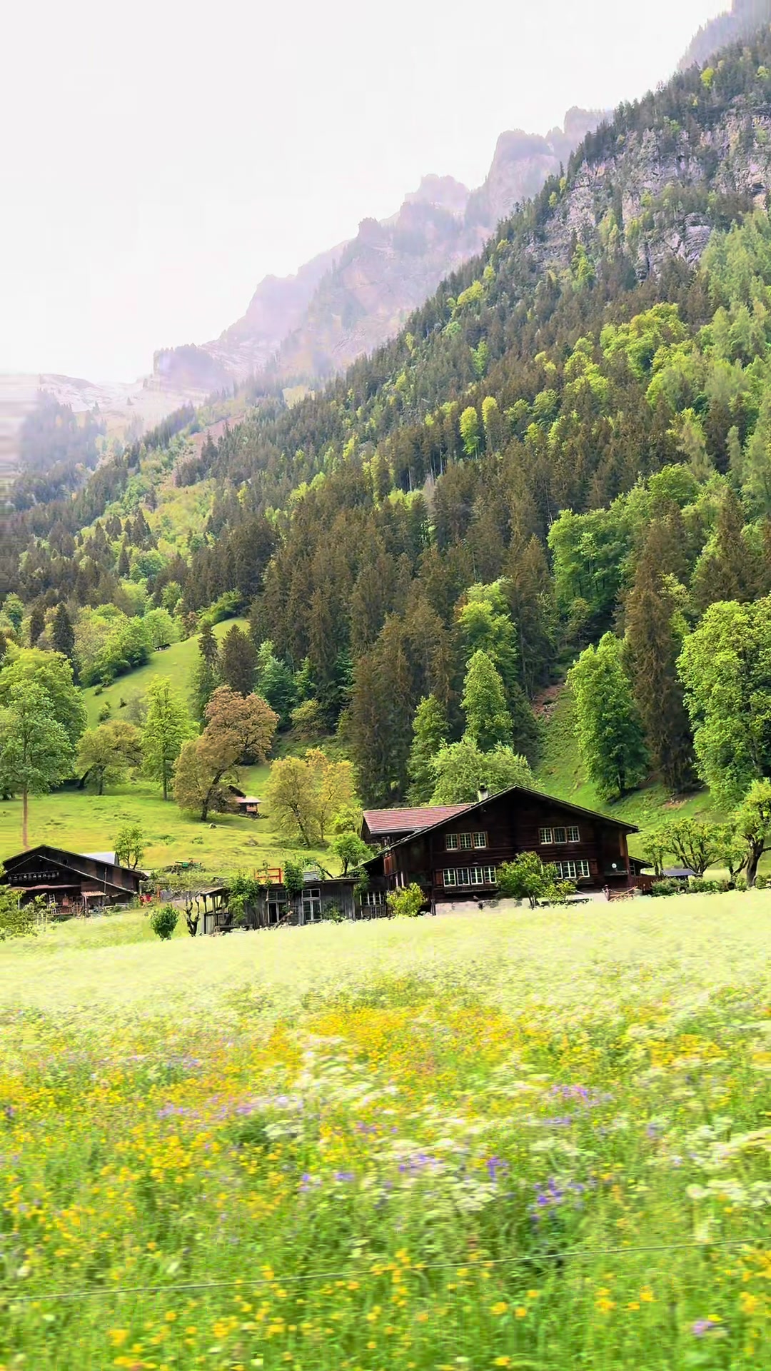 @Anastacia🇨🇭