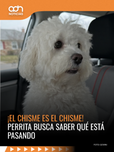 @adn Noticias