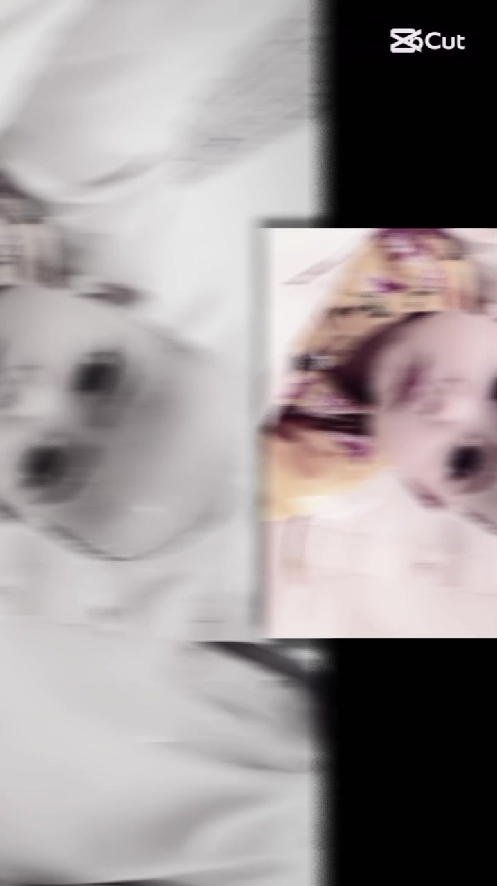 @𝒟𝒜𝒩𝐼𝒮𝐻