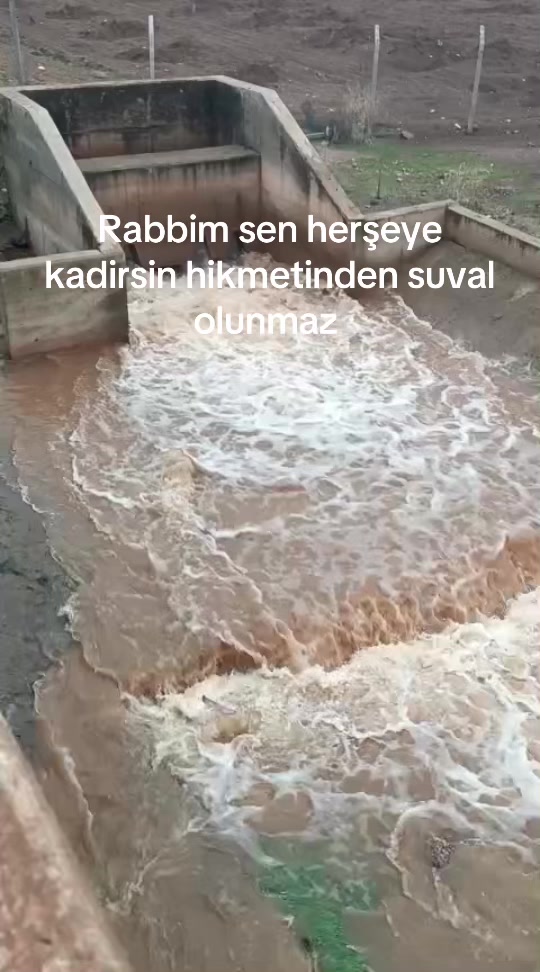 @A C A R L I