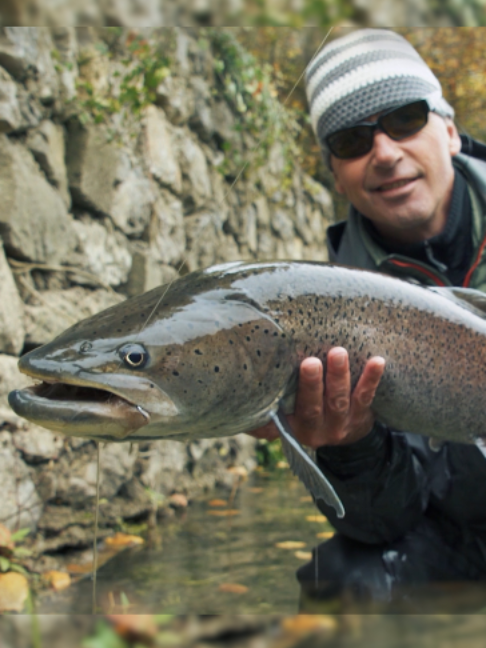 @Fishing TV