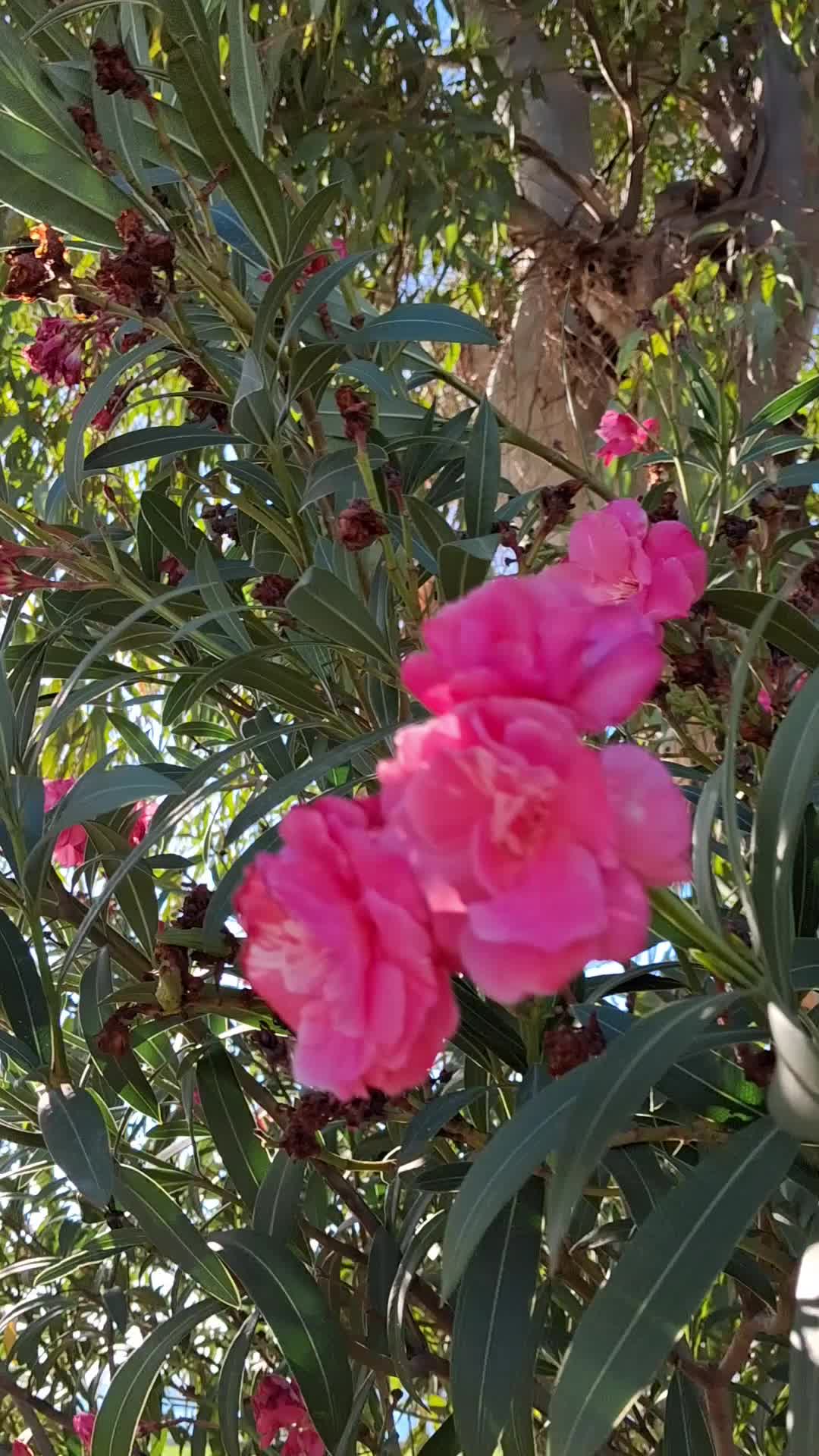 @&Sigma;&Omicron;&Kappa;&Omicron;&Lambda;&Alpha;&Tau;&Alpha;