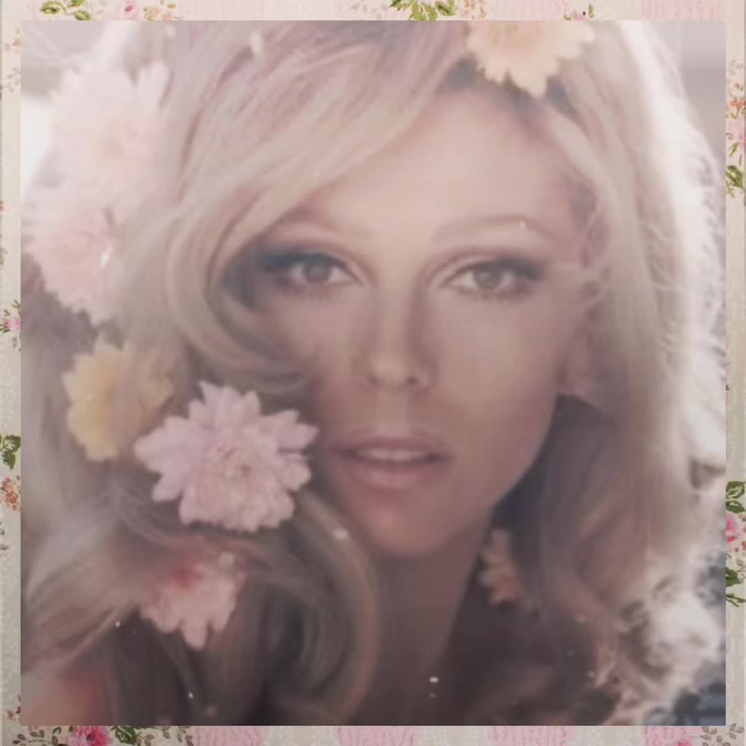 @zen 🌼