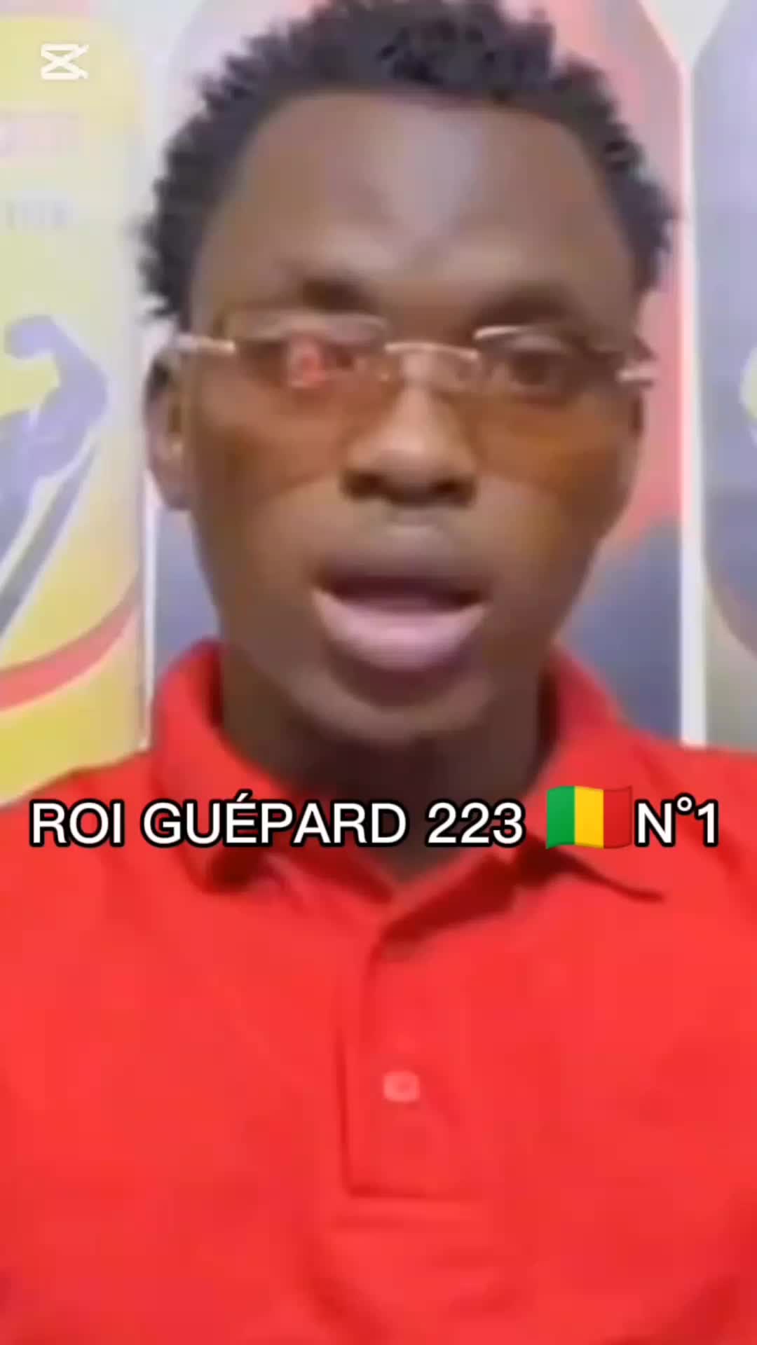 @LA FORCE MALIENNE 🇲🇱🇧🇫🇳🇪