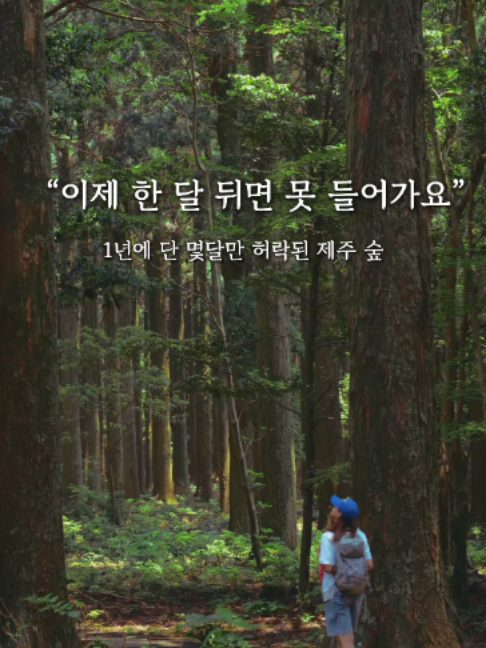 @제주도