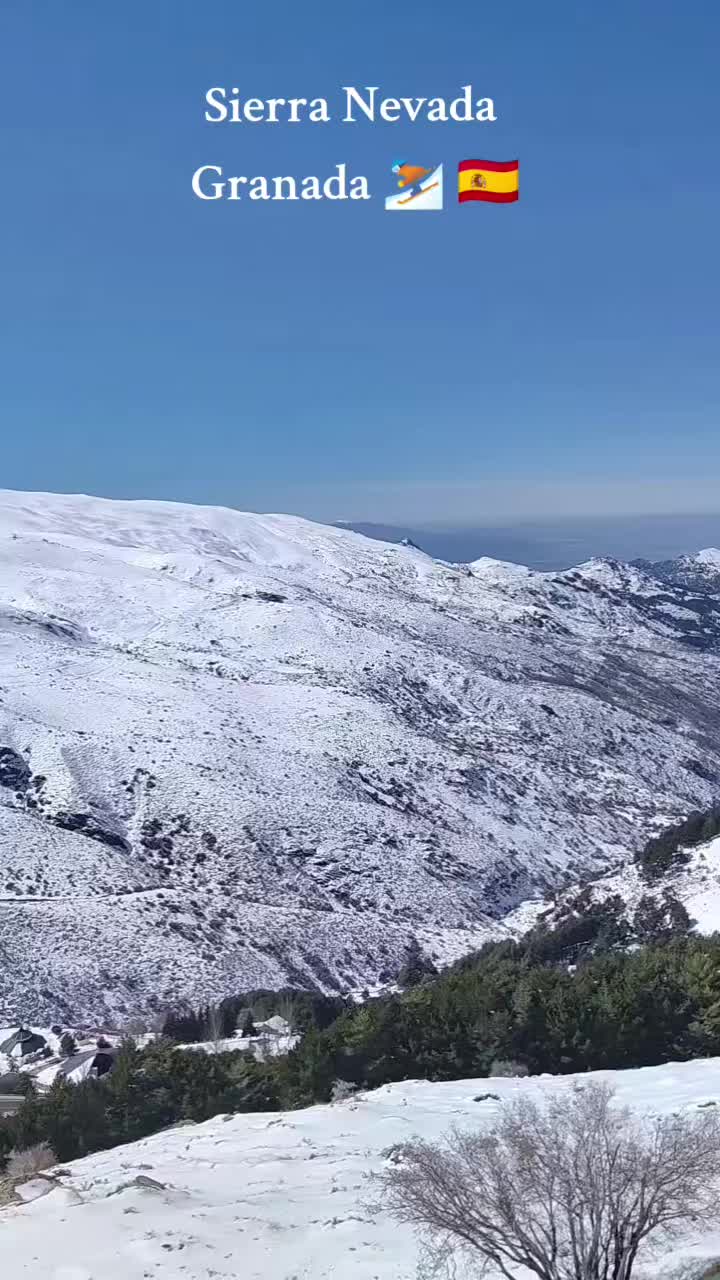 @azizararou