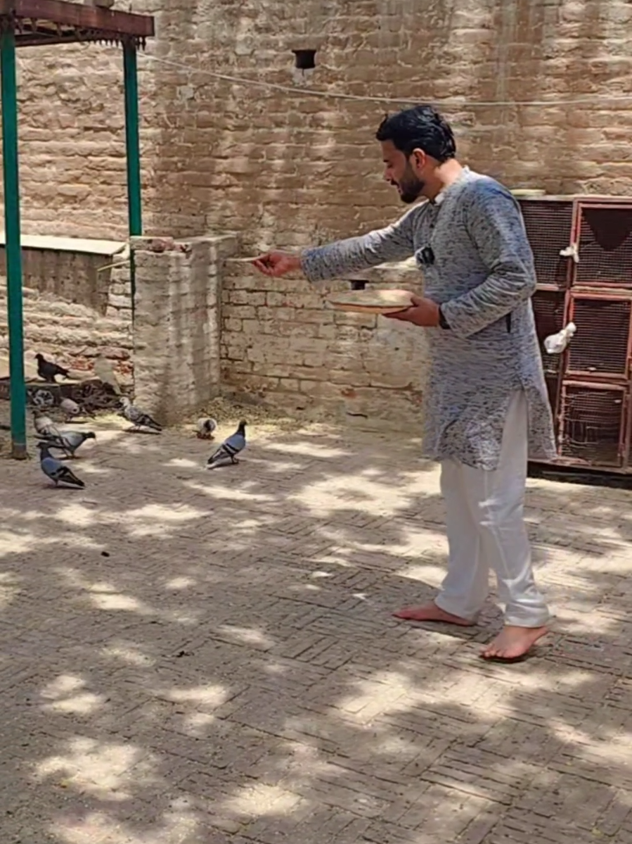 @🥷AL MEHBOOB ARMY🥷.2 Official