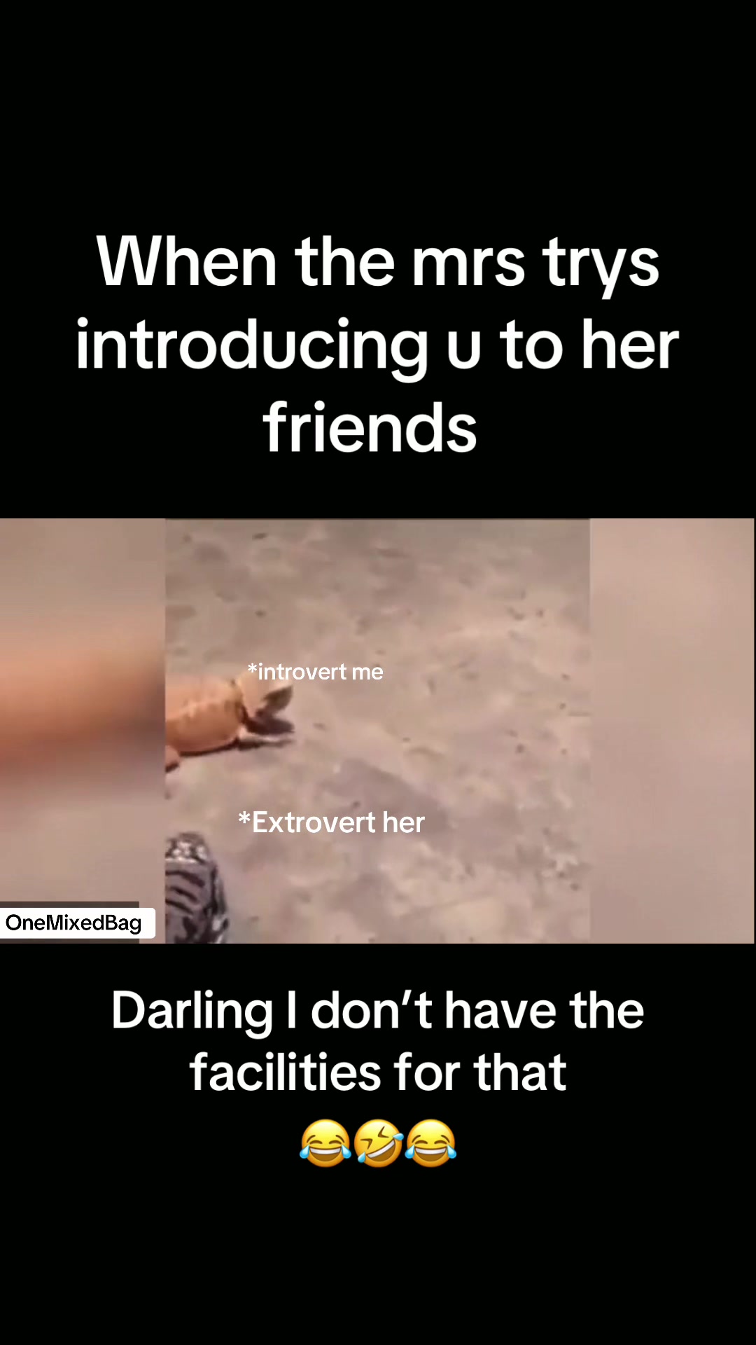 @onemixedbag