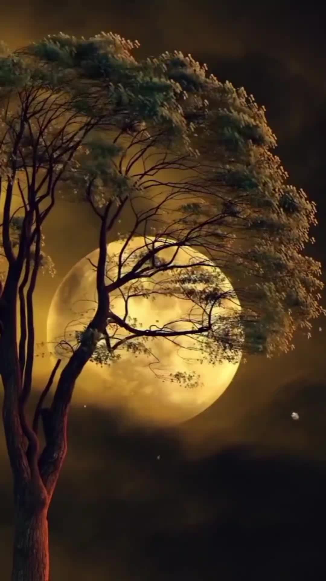 @🇩🇪أماني🇩🇪