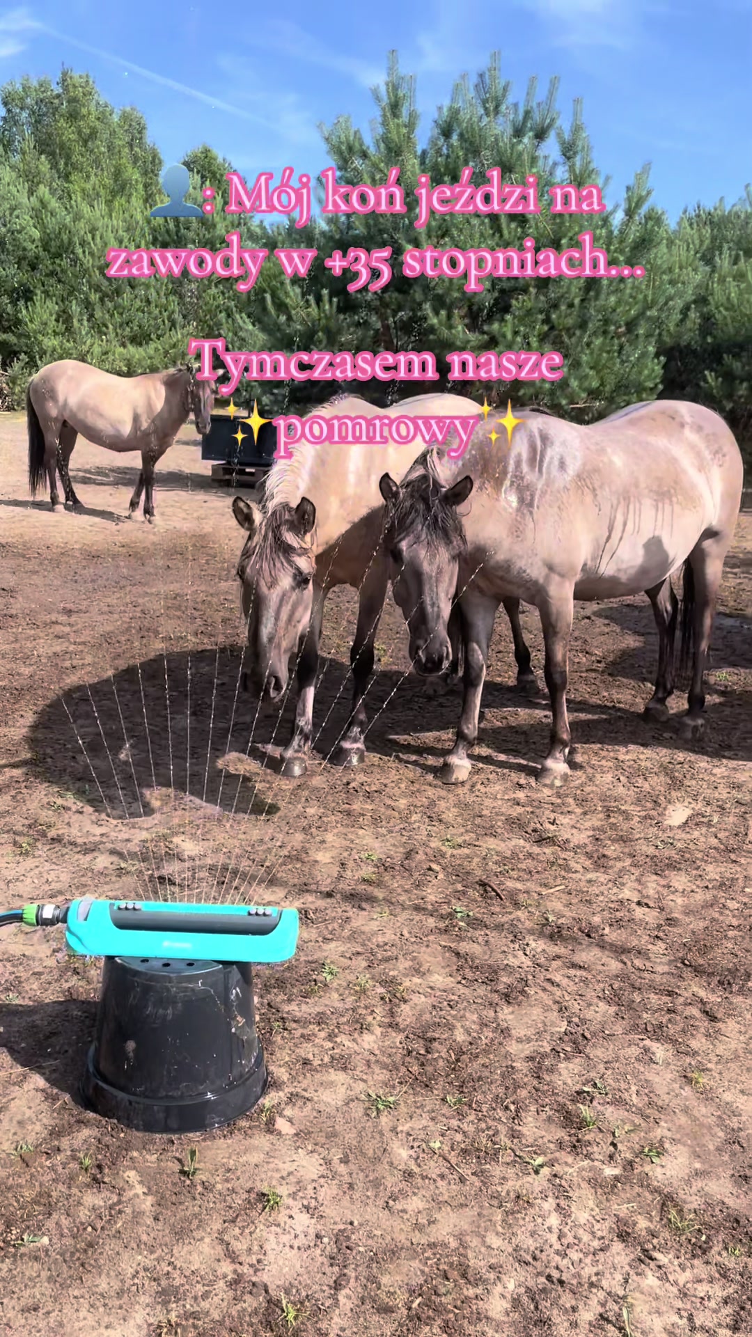 @Stajnia Miejsce Rozwoju
