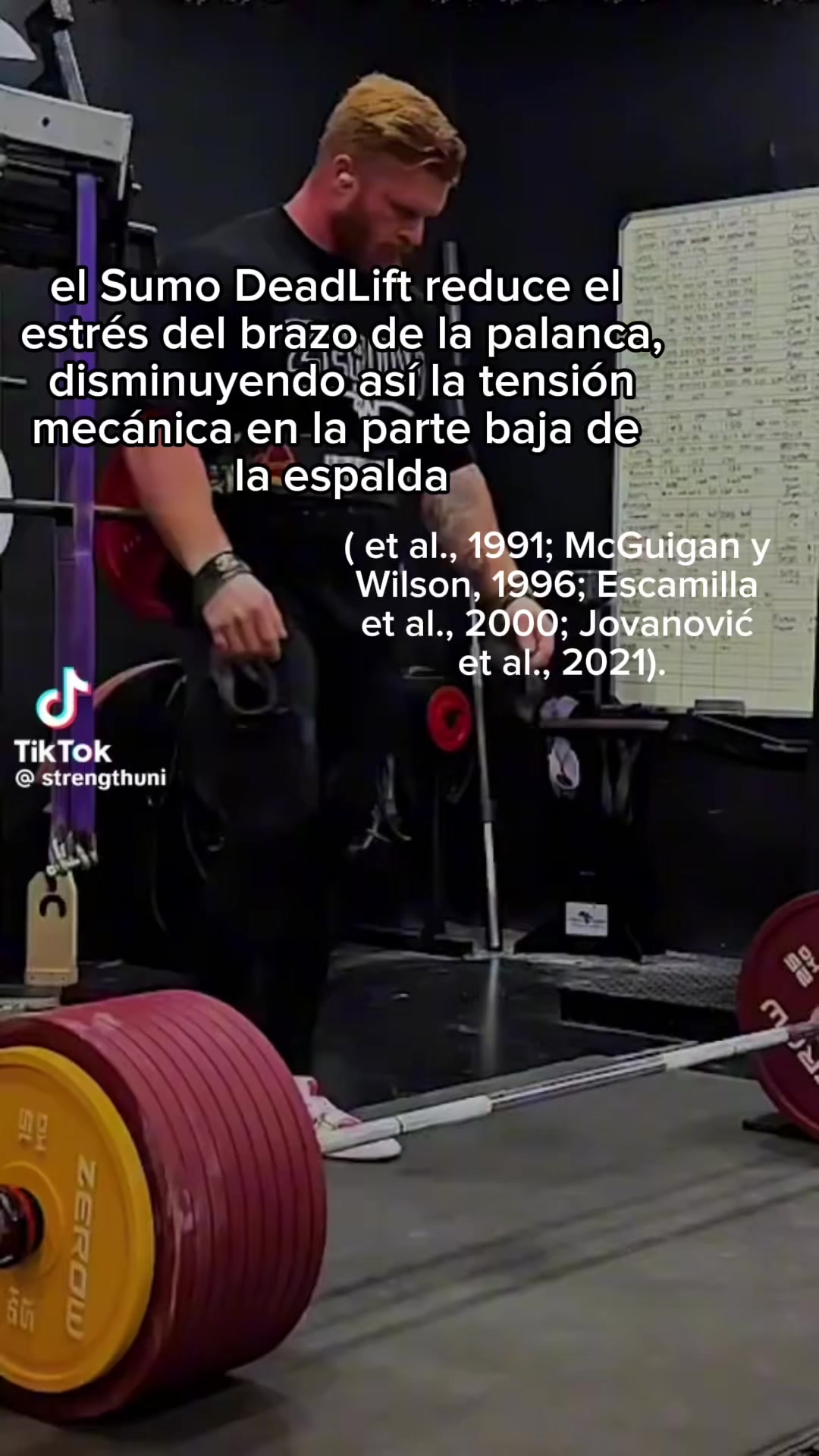 @paltanekee