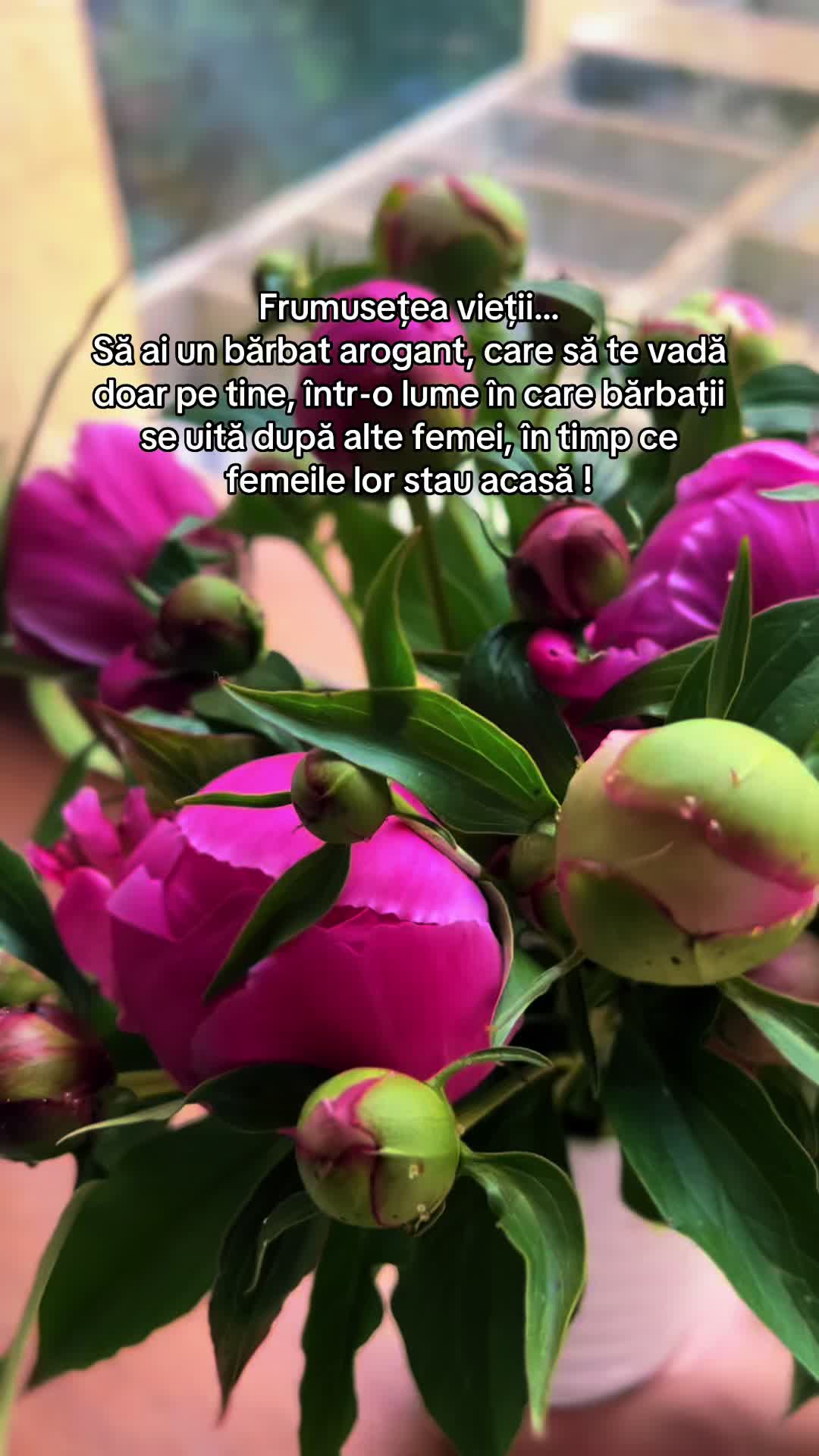 @Mihaela