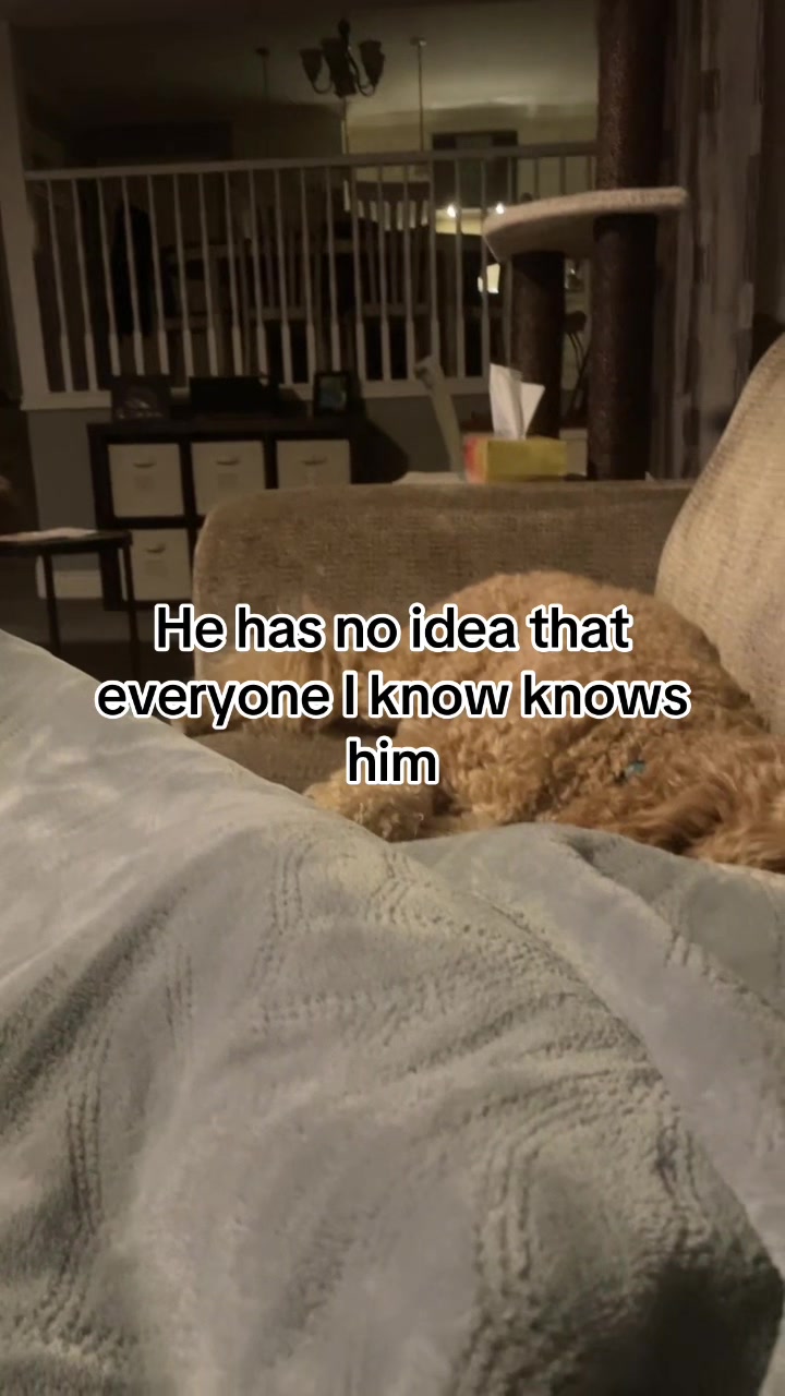 @Jill