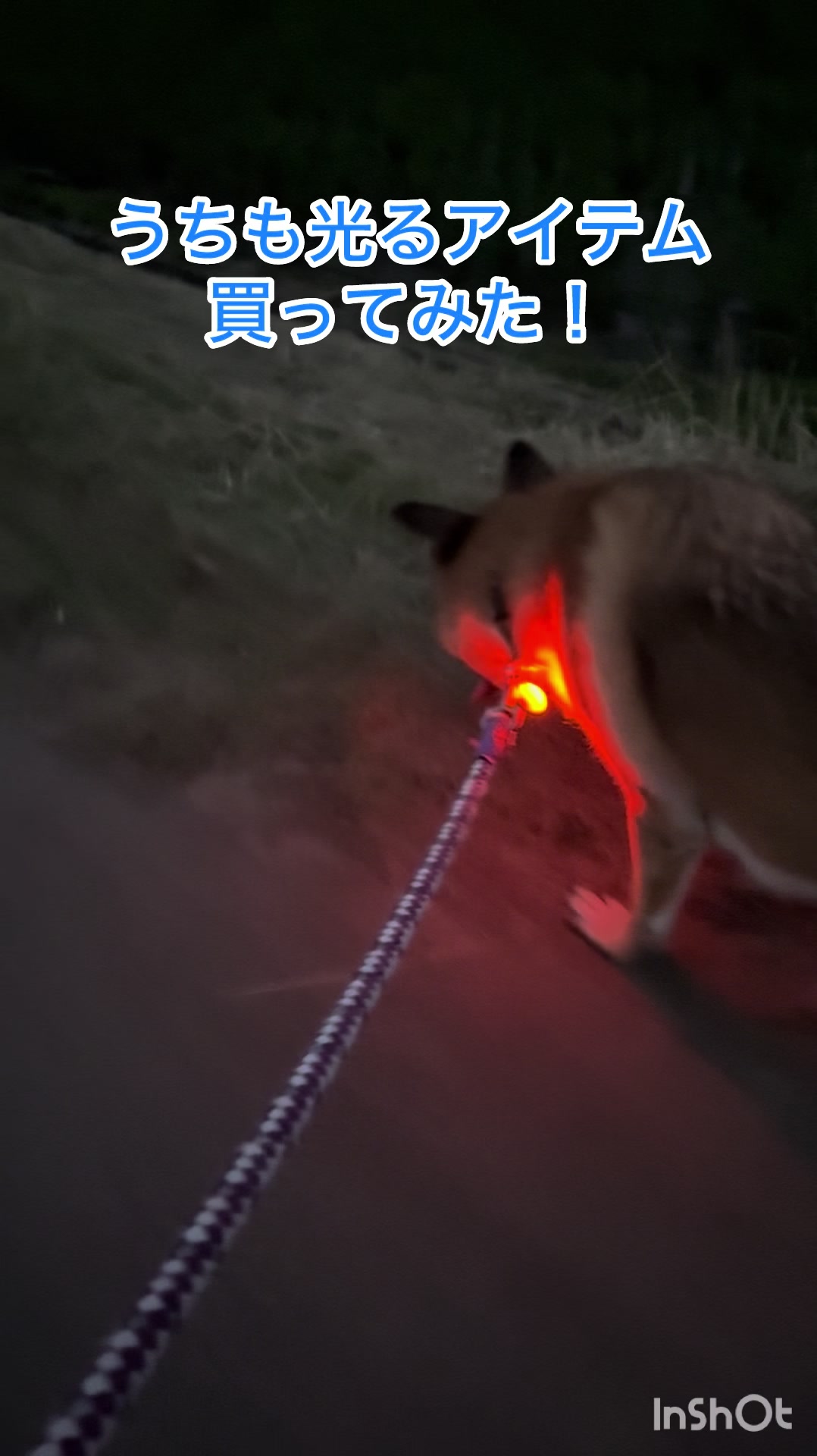 @ミウラ&bull;リョーコ(イーツカ&bull;リョーコ)