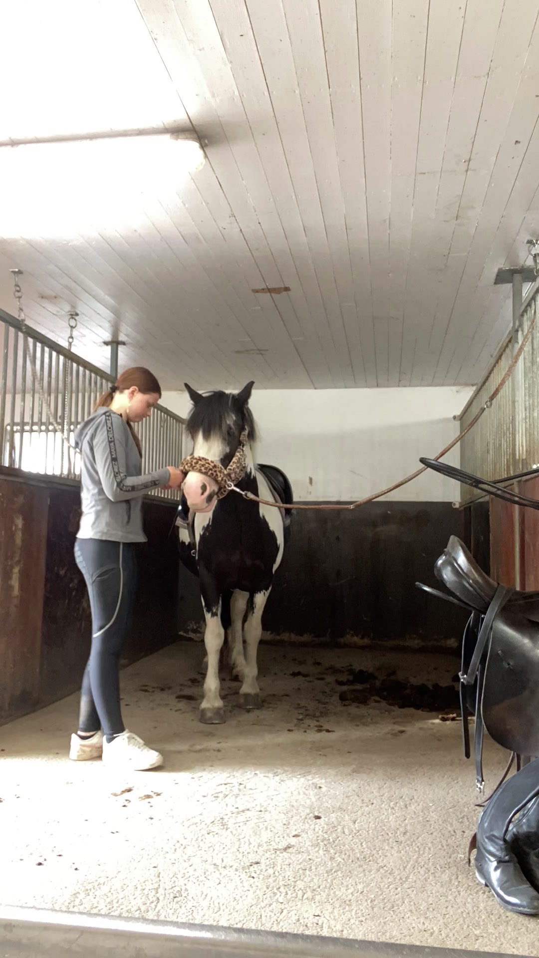 @kerstin🐴