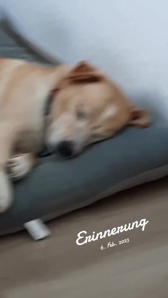 @DerHeisseMicha