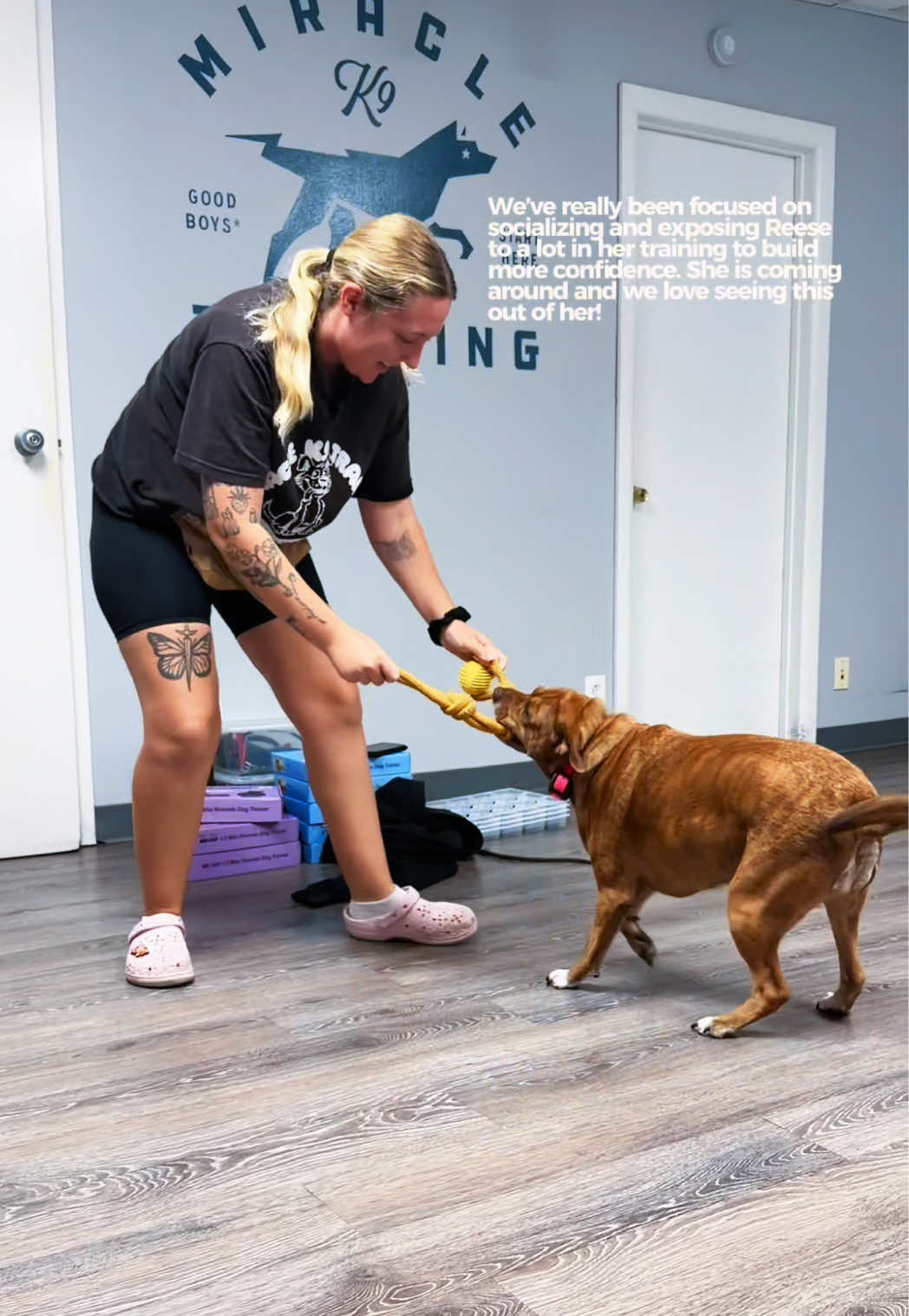 @Miracle K9 Training