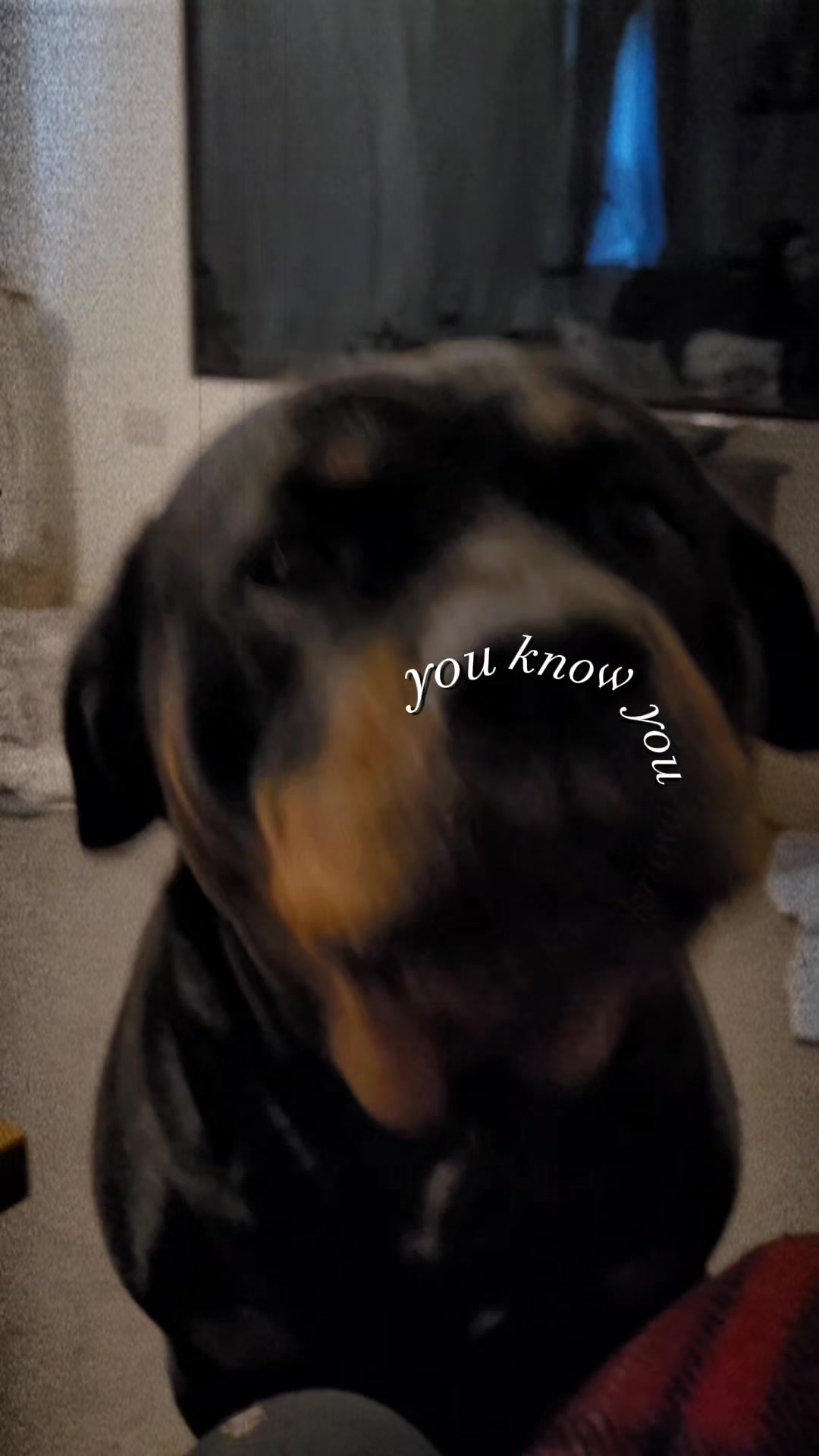@Beaswalksntalks
