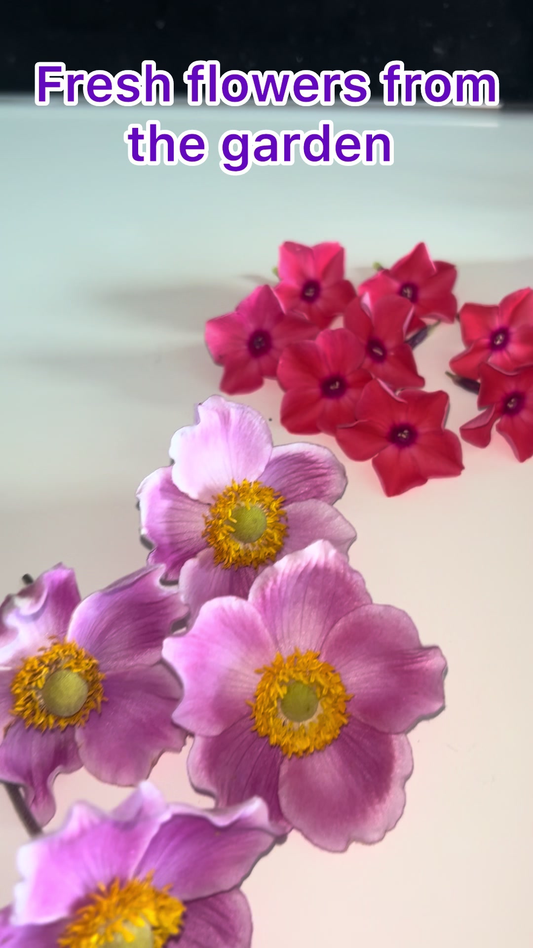 @Nature Designs 2026