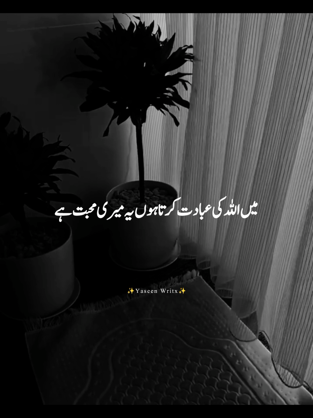 @yaseenwritx