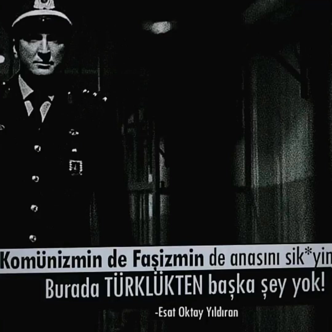 @mertpasha