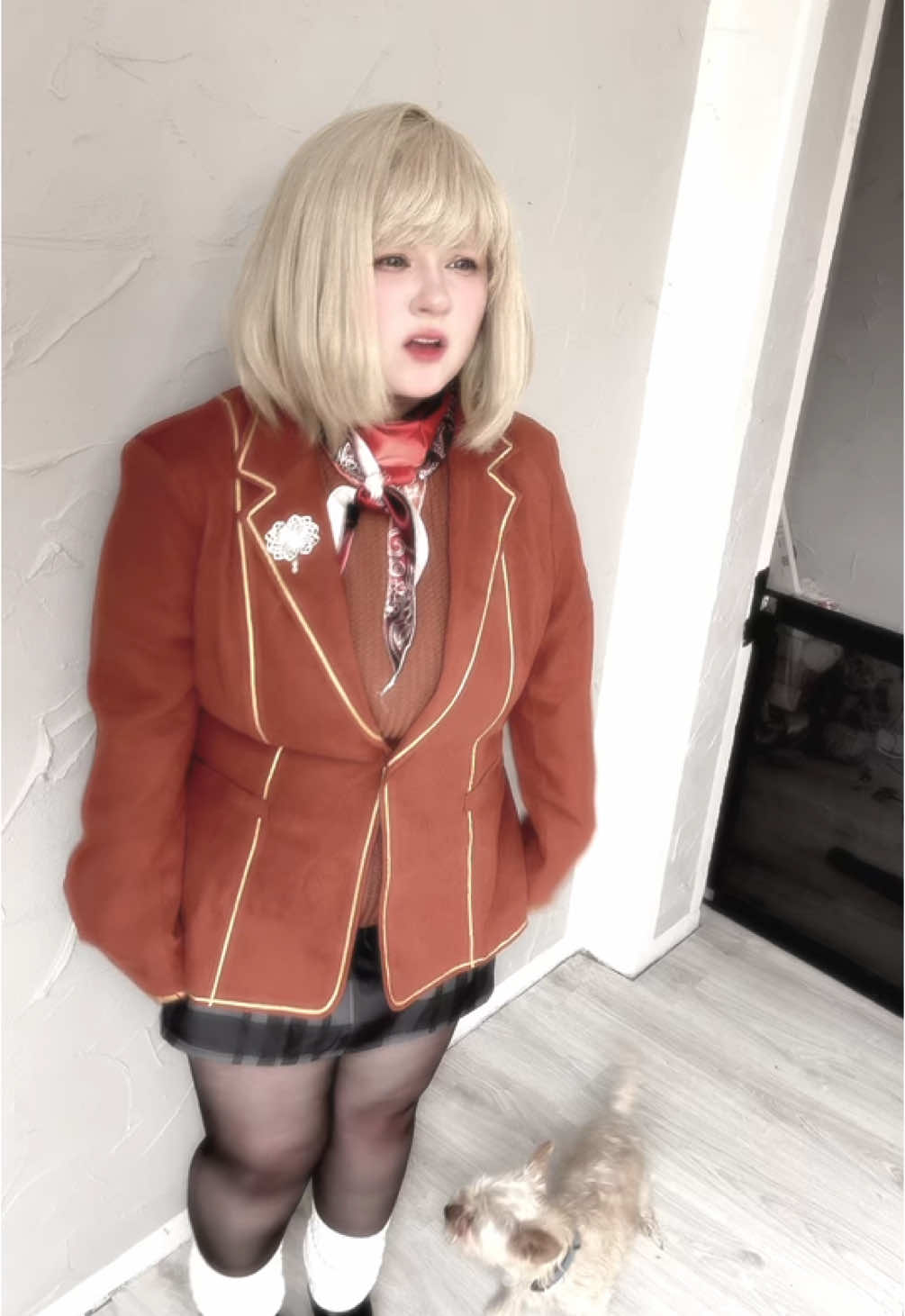 @ᴍɪɴᴏë ʕ•ᴥ•ʔ @DOKOMI