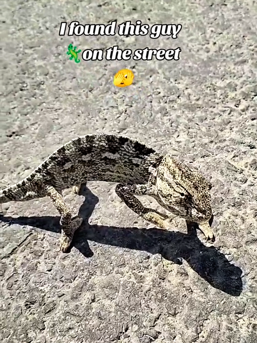 @&Sigma;&Omega;&Kappa;&Rho;Ά&Tau;&Eta;&Sigma; 🏛️🇬🇷🏛️