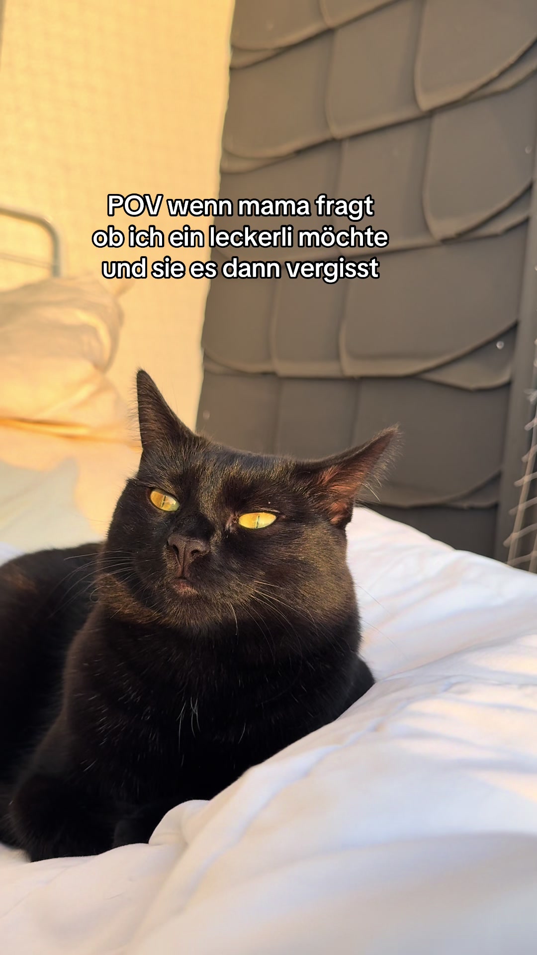 @Nala & Simba