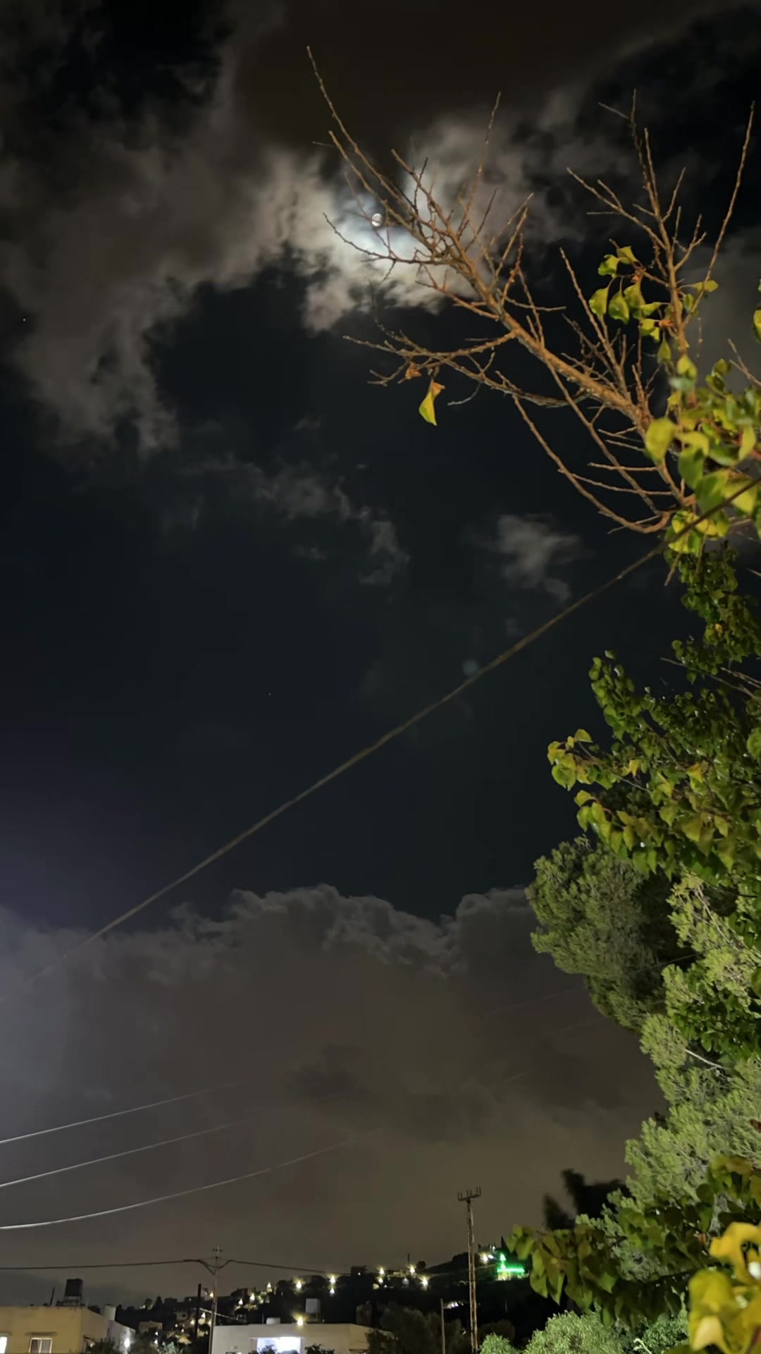@عناد