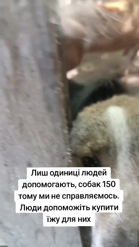 @tvarinkidobra