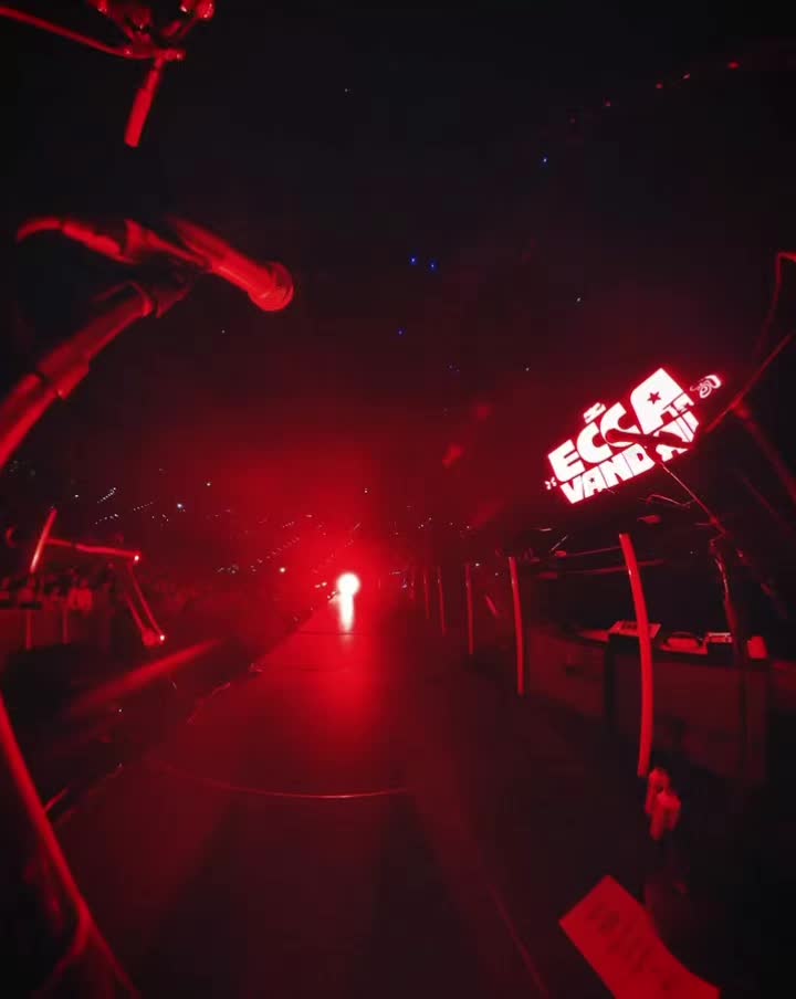 @DRIVEYOURKITTY