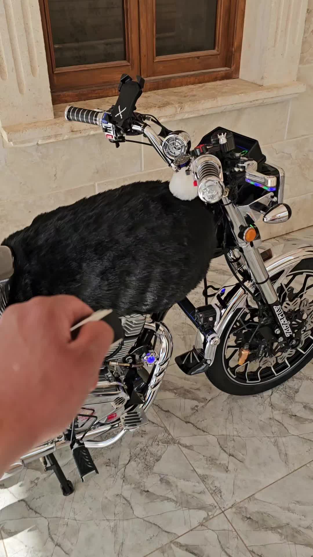 @🦅القائد🦅
