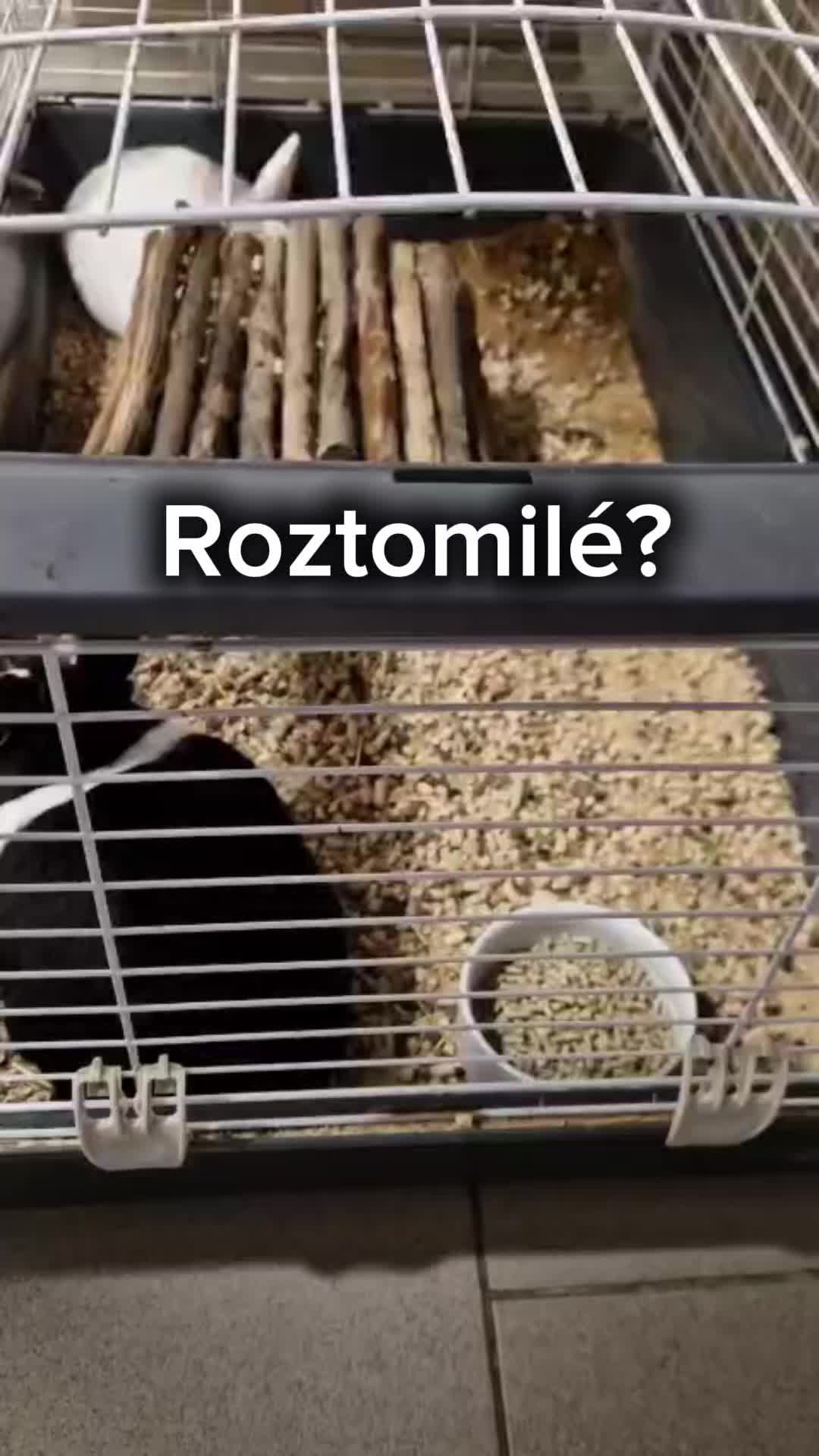 @Náš veterinář