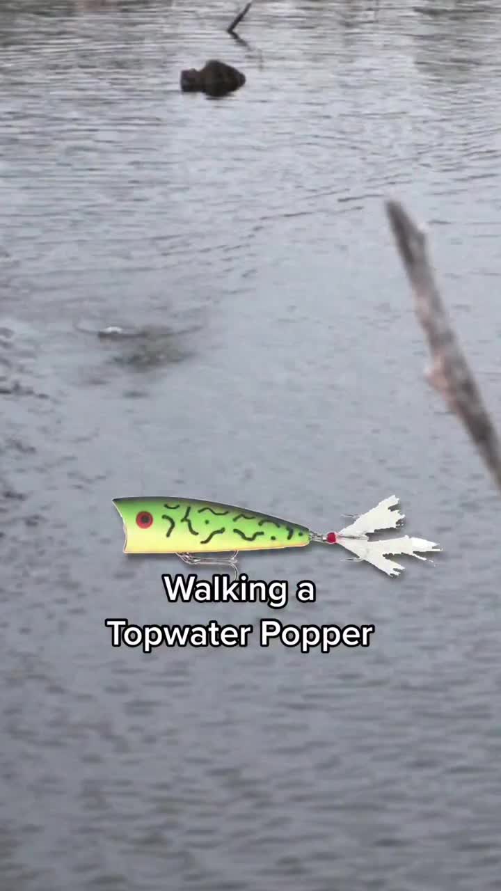 @Lunkerville