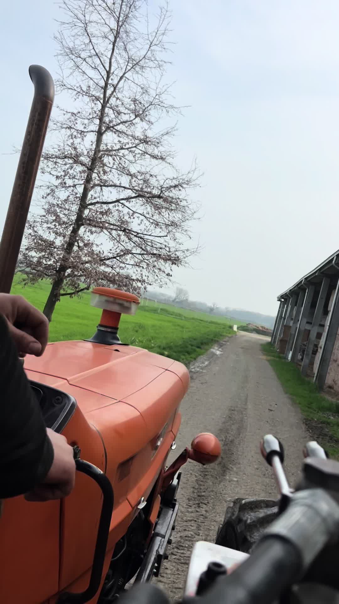 @Mirko Farmer