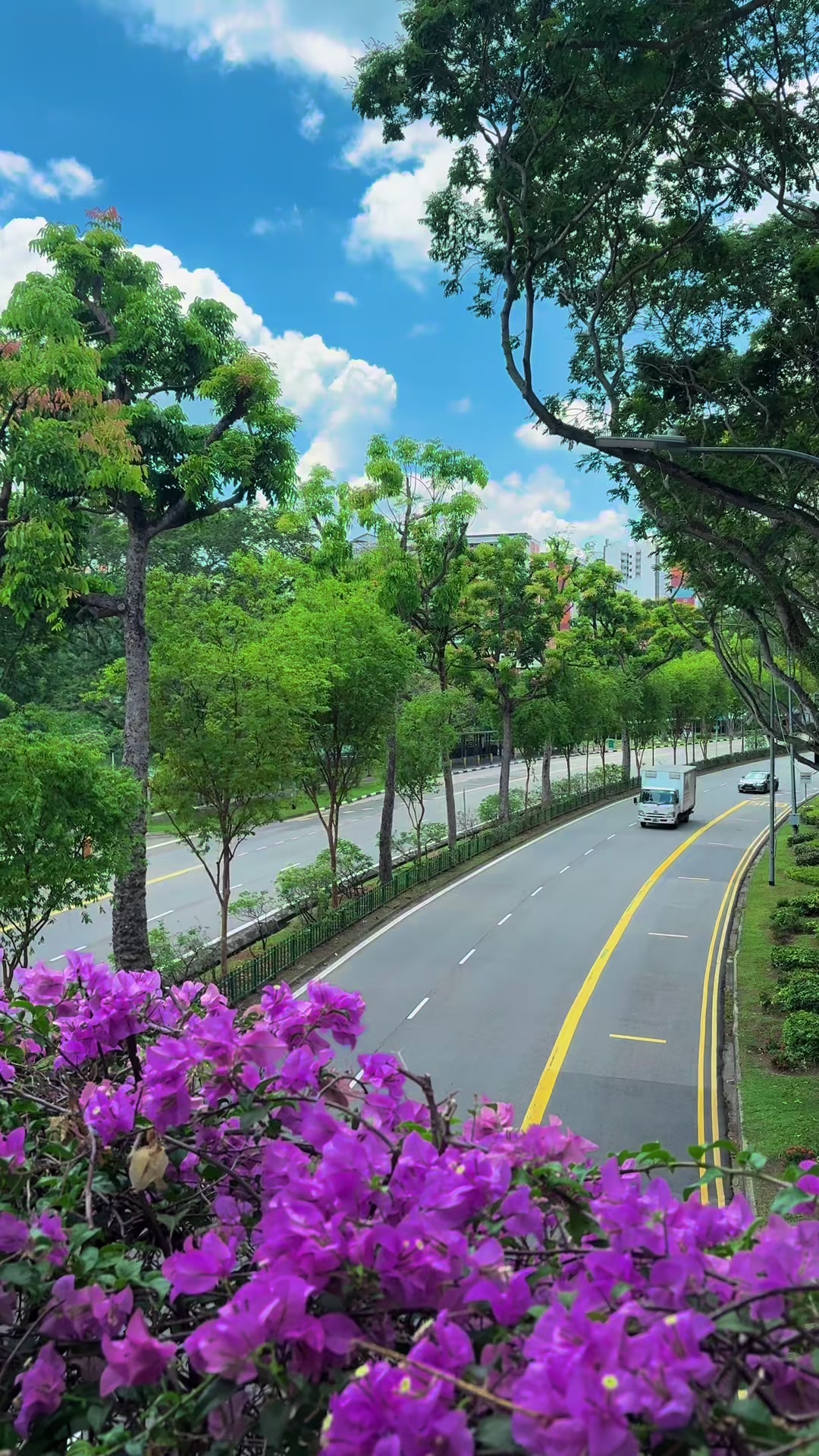 @L&egrave;o nh&egrave;o_in Singapore✅