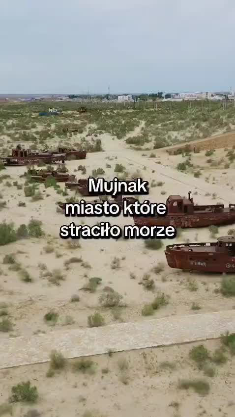 @Natalia King